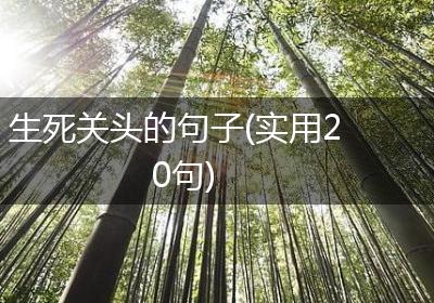 生死关头的句子(实用20句)