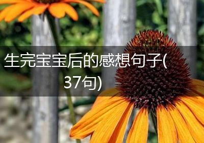 生完宝宝后的感想句子(37句)