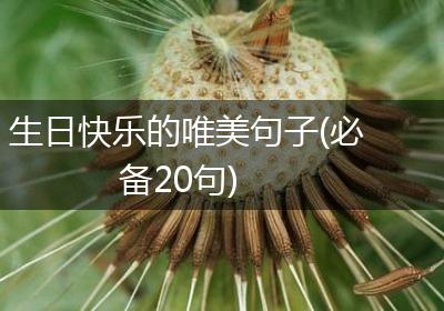 生日快乐的唯美句子(必备20句)