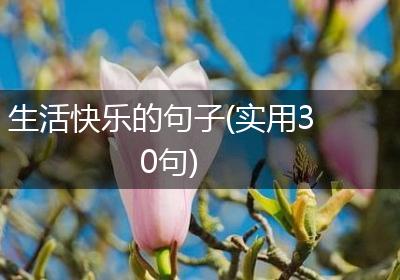生活快乐的句子(实用30句)