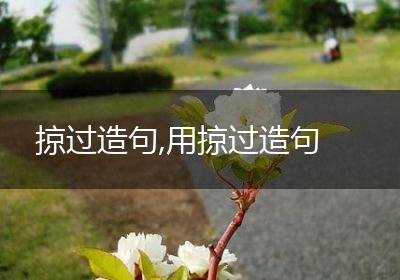 掠过造句,用掠过造句