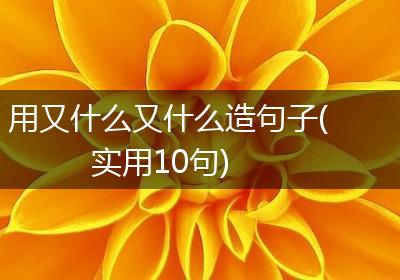 用又什么又什么造句子(实用10句)