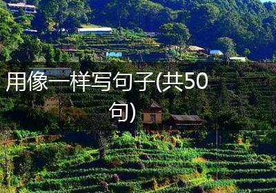 用像一样写句子(共50句)
