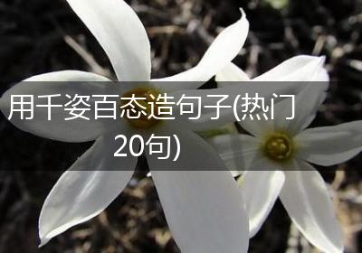 用千姿百态造句子(热门20句)