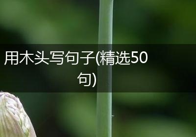 用木头写句子(精选50句)