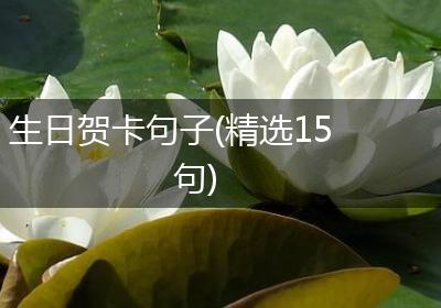 生日贺卡句子(精选15句)