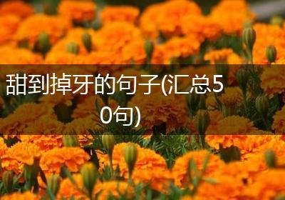 甜到掉牙的句子(汇总50句)