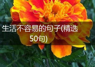 生活不容易的句子(精选50句)