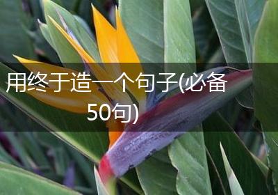 用终于造一个句子(必备50句)