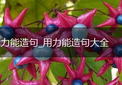 力能造句_用力能造句大全