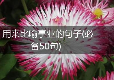 用来比喻事业的句子(必备50句)