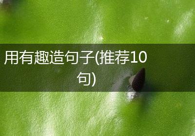 用有趣造句子(推荐10句)