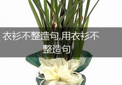 衣衫不整造句,用衣衫不整造句