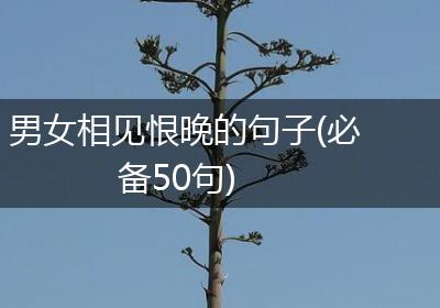 男女相见恨晚的句子(必备50句)