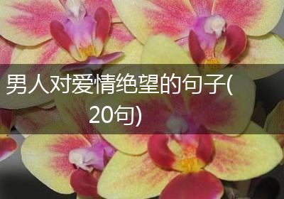 男人对爱情绝望的句子(20句)