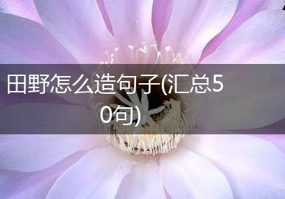 田野怎么造句子(汇总50句)