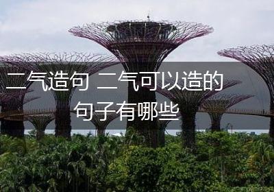 二气造句 二气可以造的句子有哪些