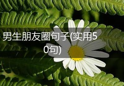 男生朋友圈句子(实用50句)