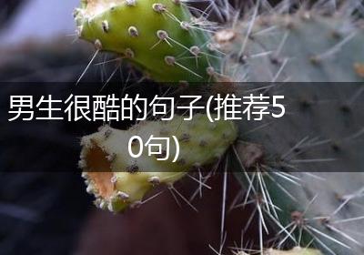 男生很酷的句子(推荐50句)