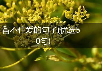 留不住爱的句子(优选50句)