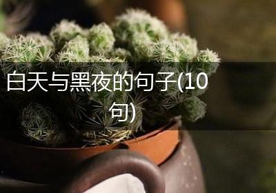白天与黑夜的句子(10句)