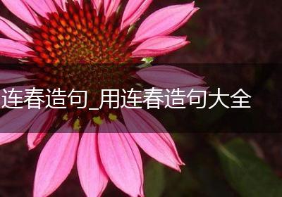 连春造句_用连春造句大全