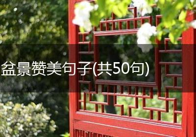 盆景赞美句子(共50句)