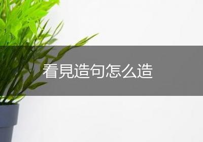 看見造句怎么造