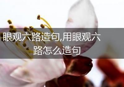 眼观六路造句,用眼观六路怎么造句