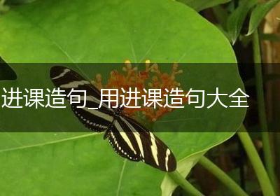 进课造句_用进课造句大全
