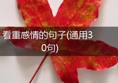 看重感情的句子(通用30句)