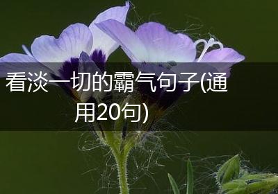 看淡一切的霸气句子(通用20句)