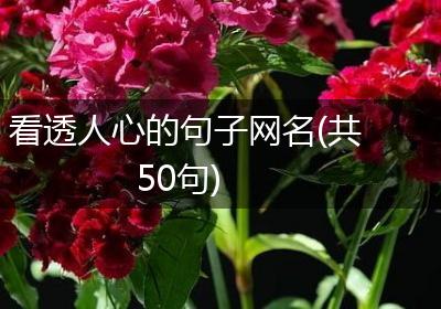 看透人心的句子网名(共50句)