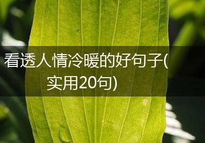 看透人情冷暖的好句子(实用20句)