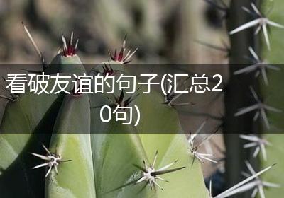 看破友谊的句子(汇总20句)