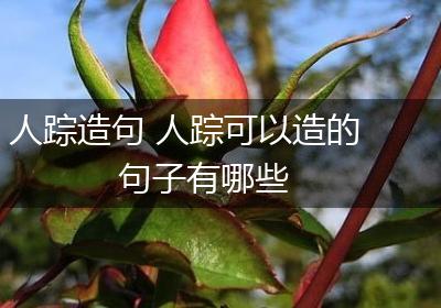人踪造句 人踪可以造的句子有哪些