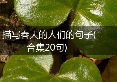 描写春天的人们的句子(合集20句)