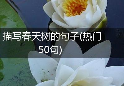 描写春天树的句子(热门50句)
