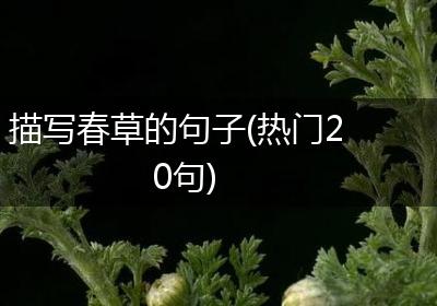 描写春草的句子(热门20句)