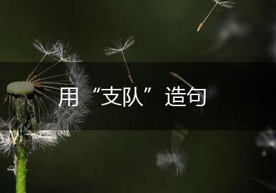 用“支队”造句