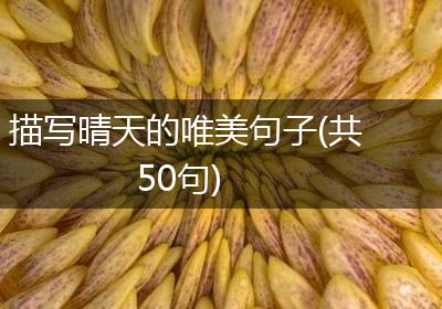 描写晴天的唯美句子(共50句)
