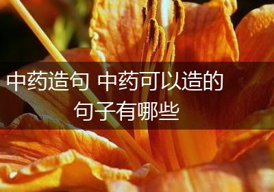 中药造句 中药可以造的句子有哪些