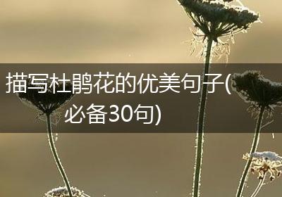 描写杜鹃花的优美句子(必备30句)