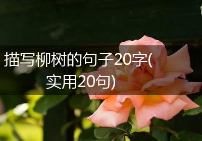 描写柳树的句子20字(实用20句)