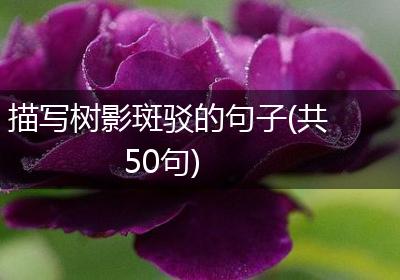 描写树影斑驳的句子(共50句)