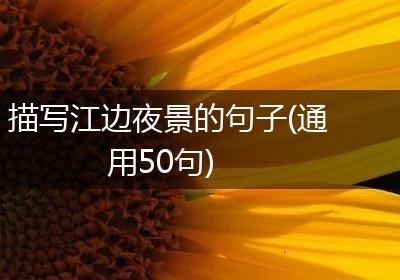 描写江边夜景的句子(通用50句)