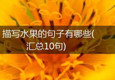 描写水果的句子有哪些(汇总10句)