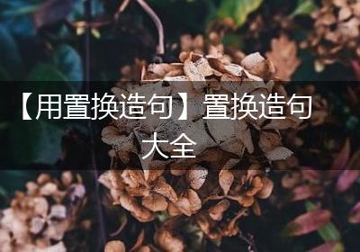【用置换造句】置换造句大全