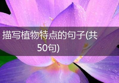 描写植物特点的句子(共50句)