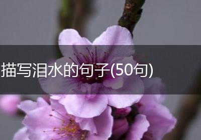 描写泪水的句子(50句)